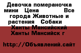 Девочка помераночка мини › Цена ­ 50 000 - Все города Животные и растения » Собаки   . Ханты-Мансийский,Ханты-Мансийск г.